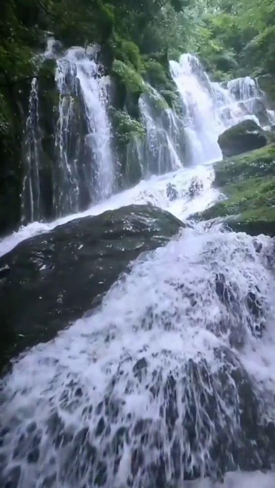 小猫钓鱼游戏龙王版有船